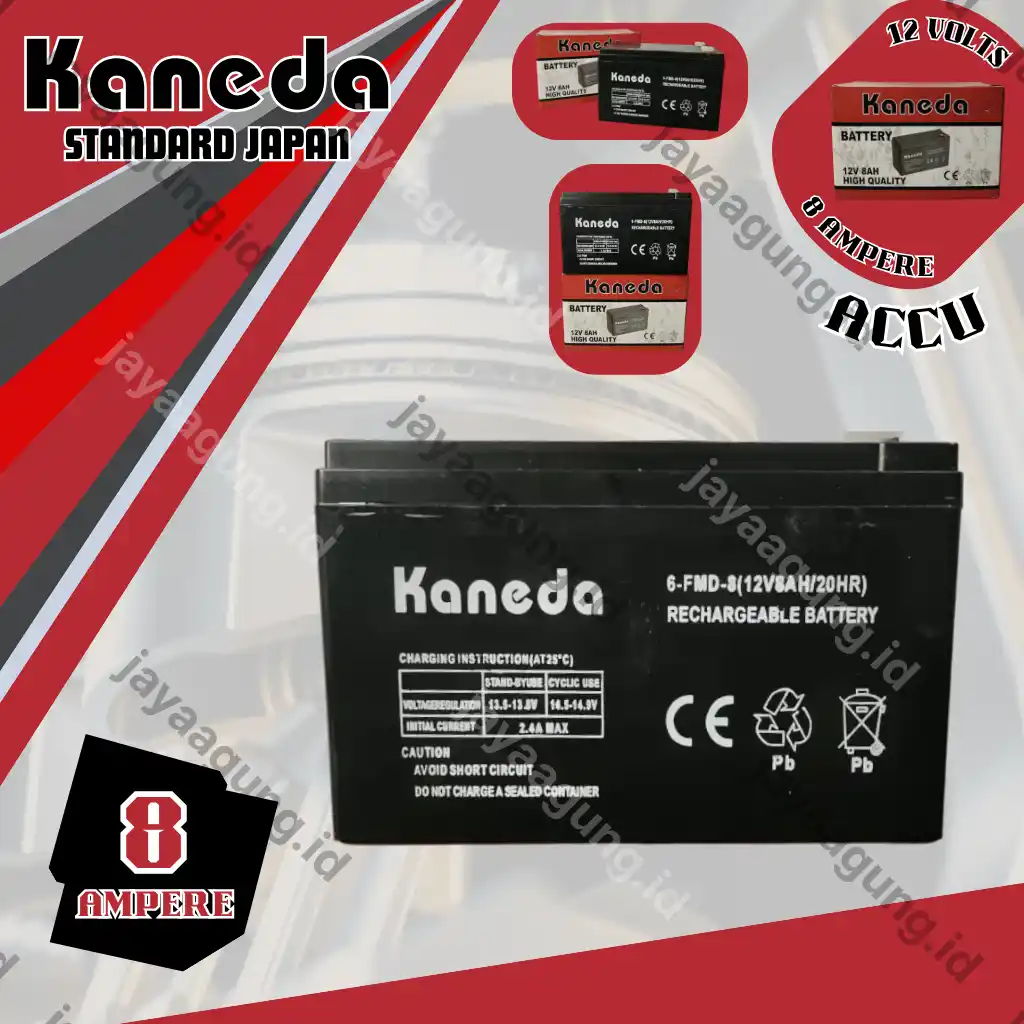 ACCU SPRAYER KANEDA 8A