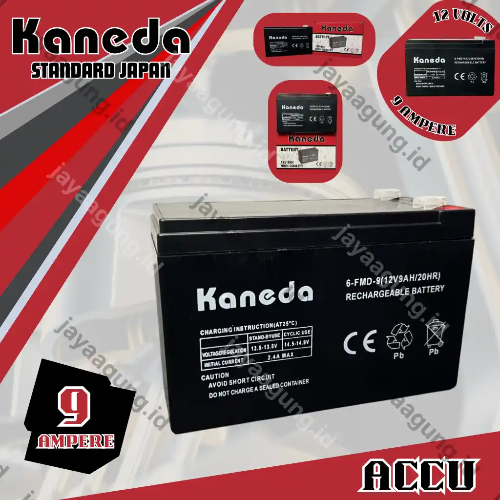 ACCU SPRAYER KANEDA 9A