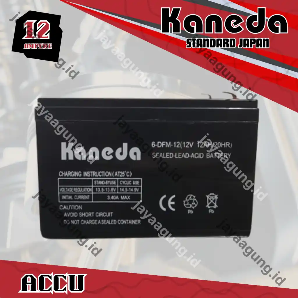 ACCU SPRAYER KANEDA 12A