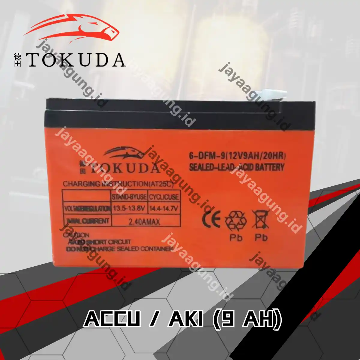 ACCU SPRAYER TOKUDA 9A 2.5KG