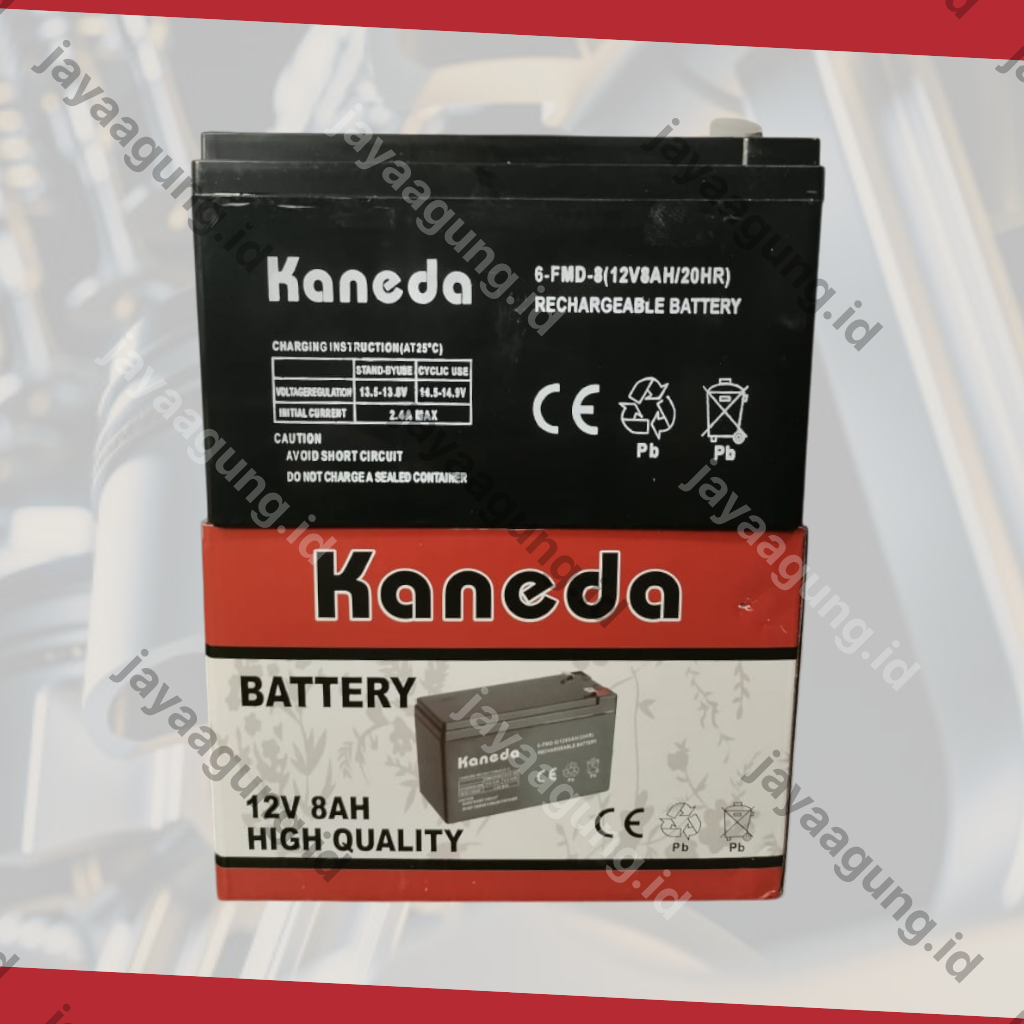 Gambar ACCU SPRAYER KANEDA 8A ke-3