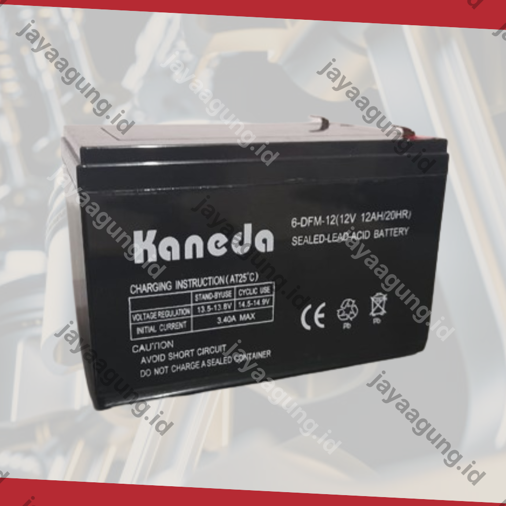 Gambar ACCU SPRAYER KANEDA 12A ke-2