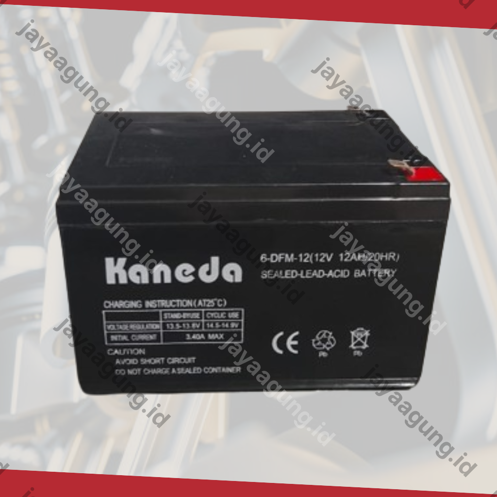 Gambar ACCU SPRAYER KANEDA 12A ke-3