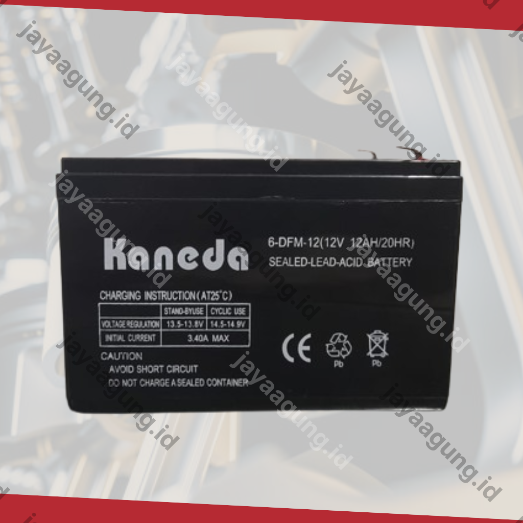 Gambar ACCU SPRAYER KANEDA 12A ke-4