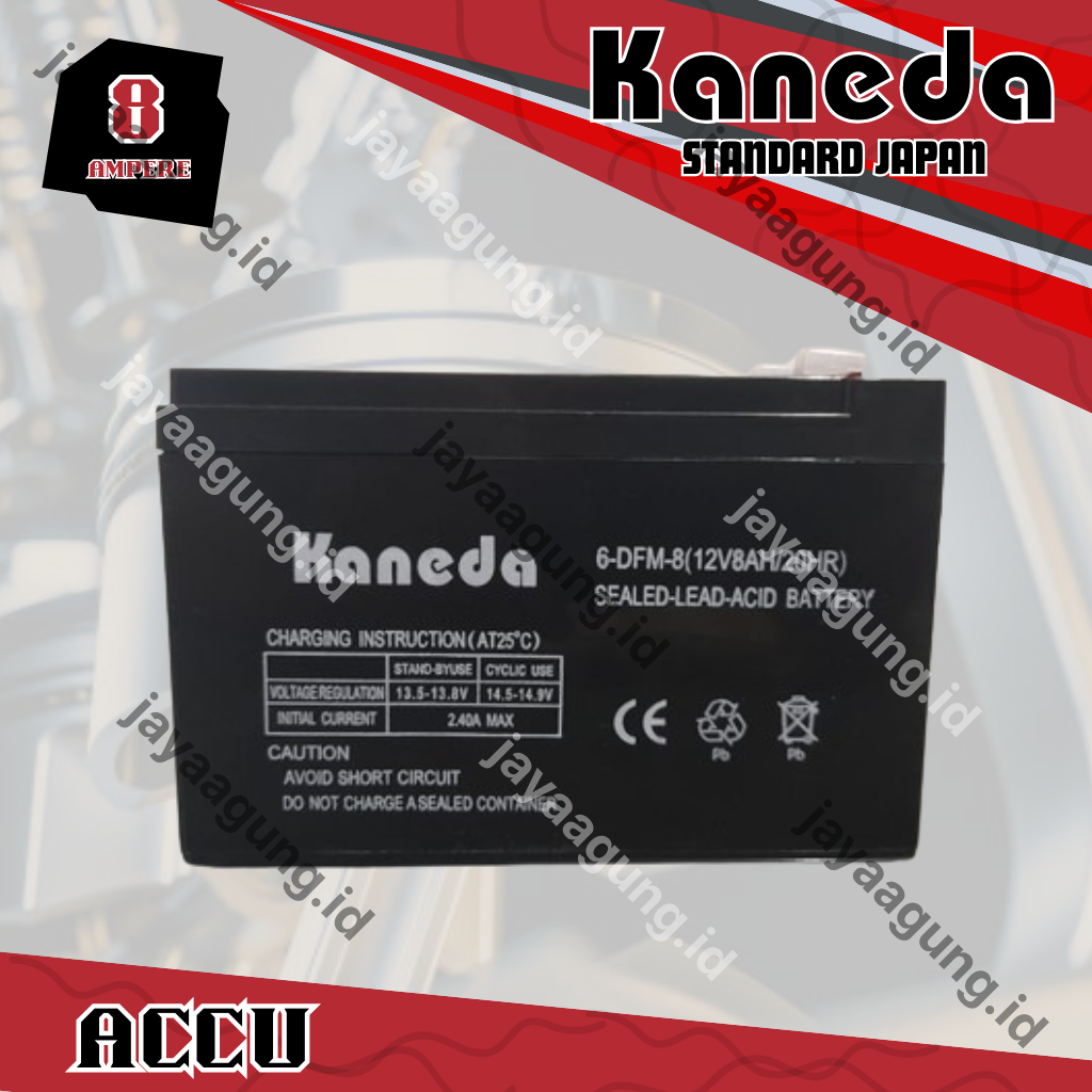 ACCU SPRAYER KANEDA 8A